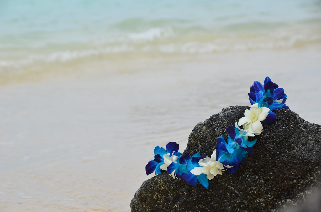 Hawaiian Lei