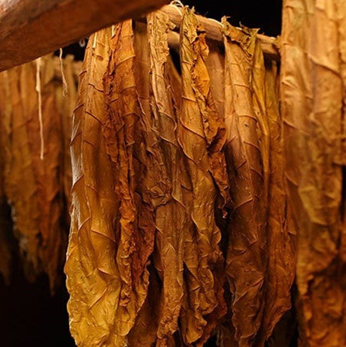 tobacco.jpg
