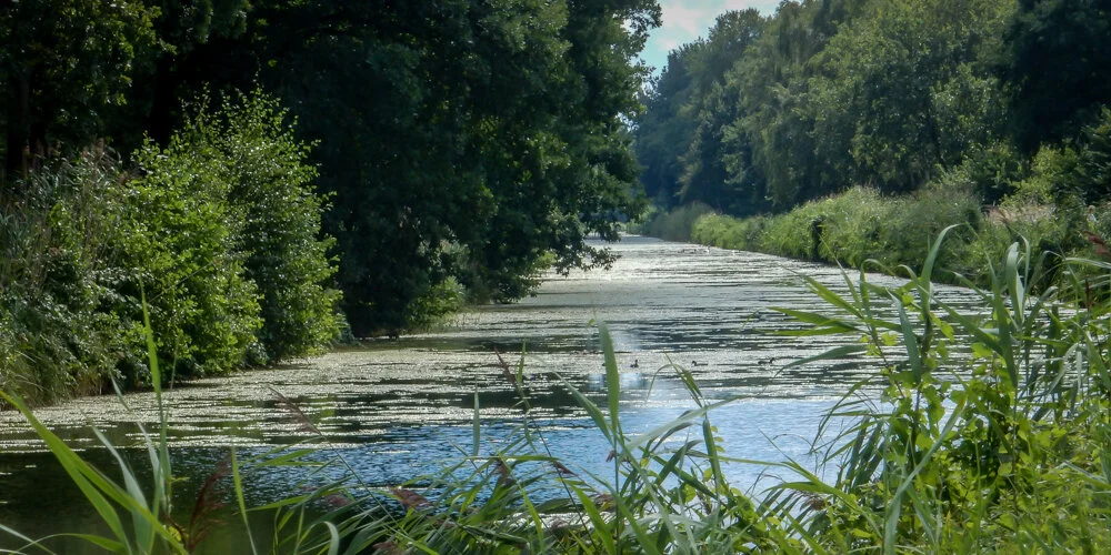 Showreel-2018- (12 of 17).jpg