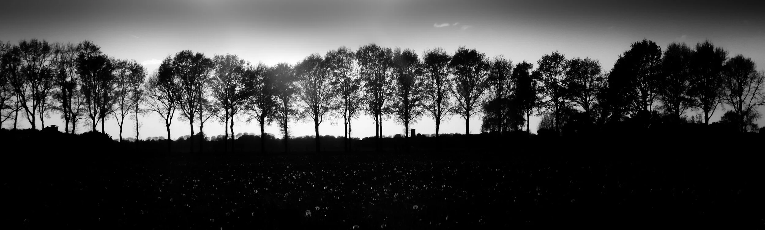 wandeling- (1 of 1).jpg