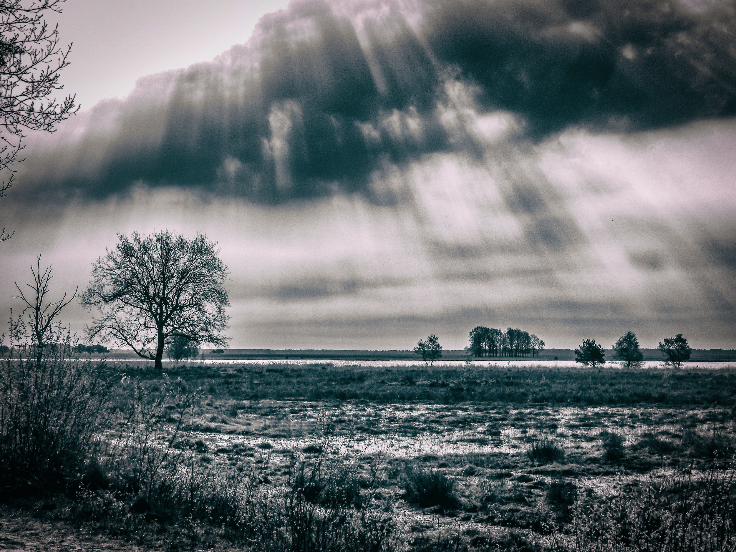 Dwingerderveld - Drente 2018