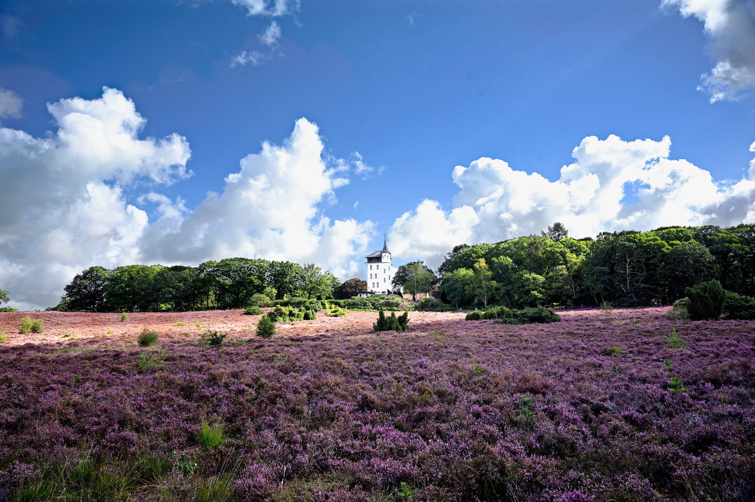 Palthe - September 2020