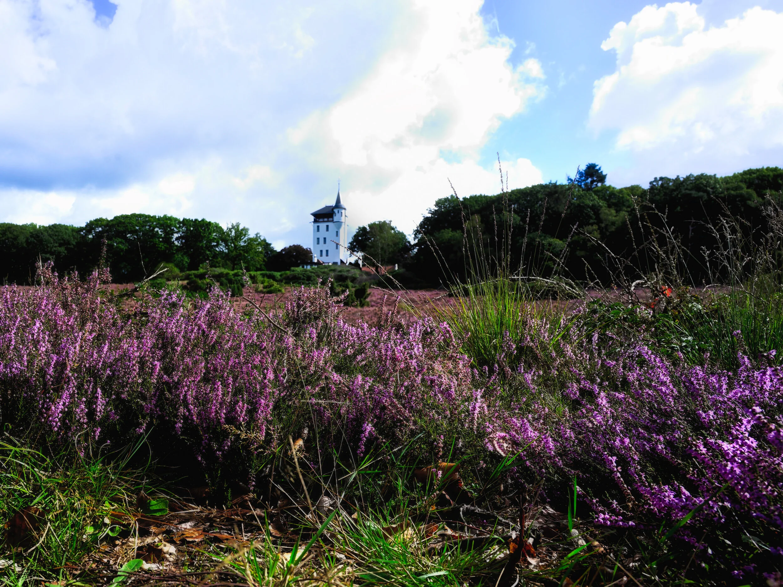 Palthe - September 2020