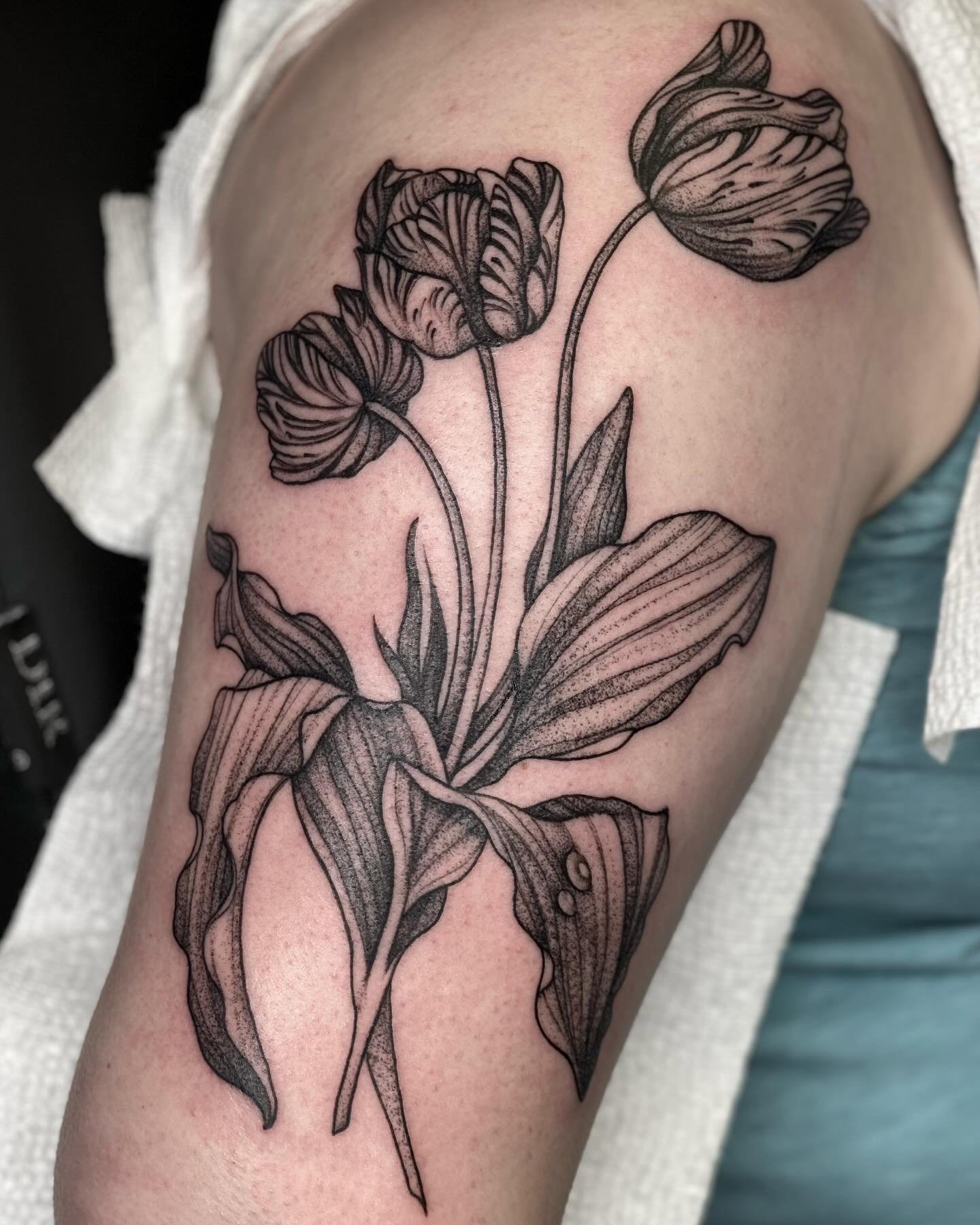 Thanks for the trust and making the trip Sarah! I love tulips 🌷 
.
.
.
#newyorktattoo#newyorktattooartist#nytattoo#nytattooer#newyorktattooer#botanicaltattoo#botanicaltattooer#botanicaltattoos#longislandtattoo#longislandtattooer#longislandtattooarti