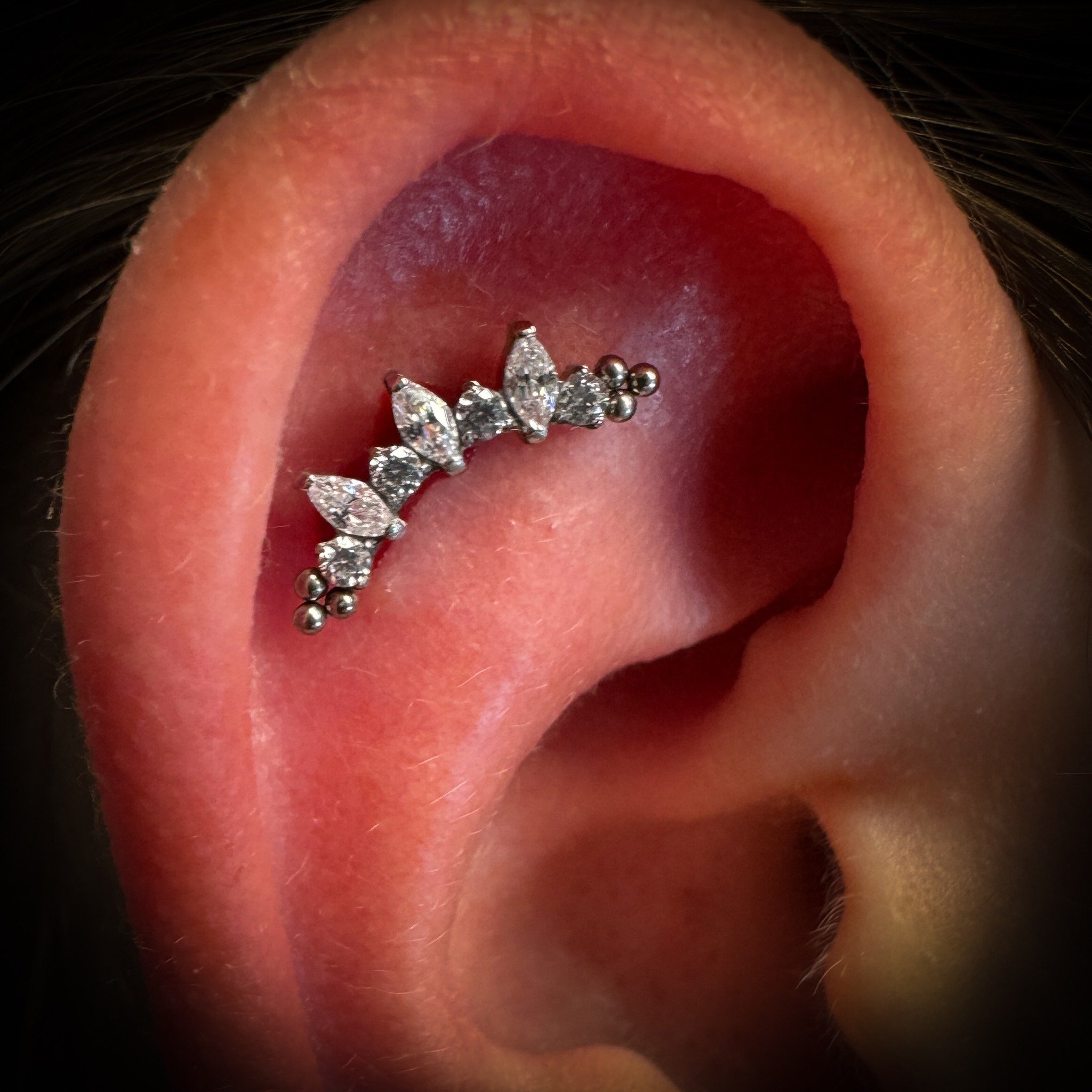 Look at that flat! Such a fun piece!

#flatpiercing #earrings #earpiercing #piercing