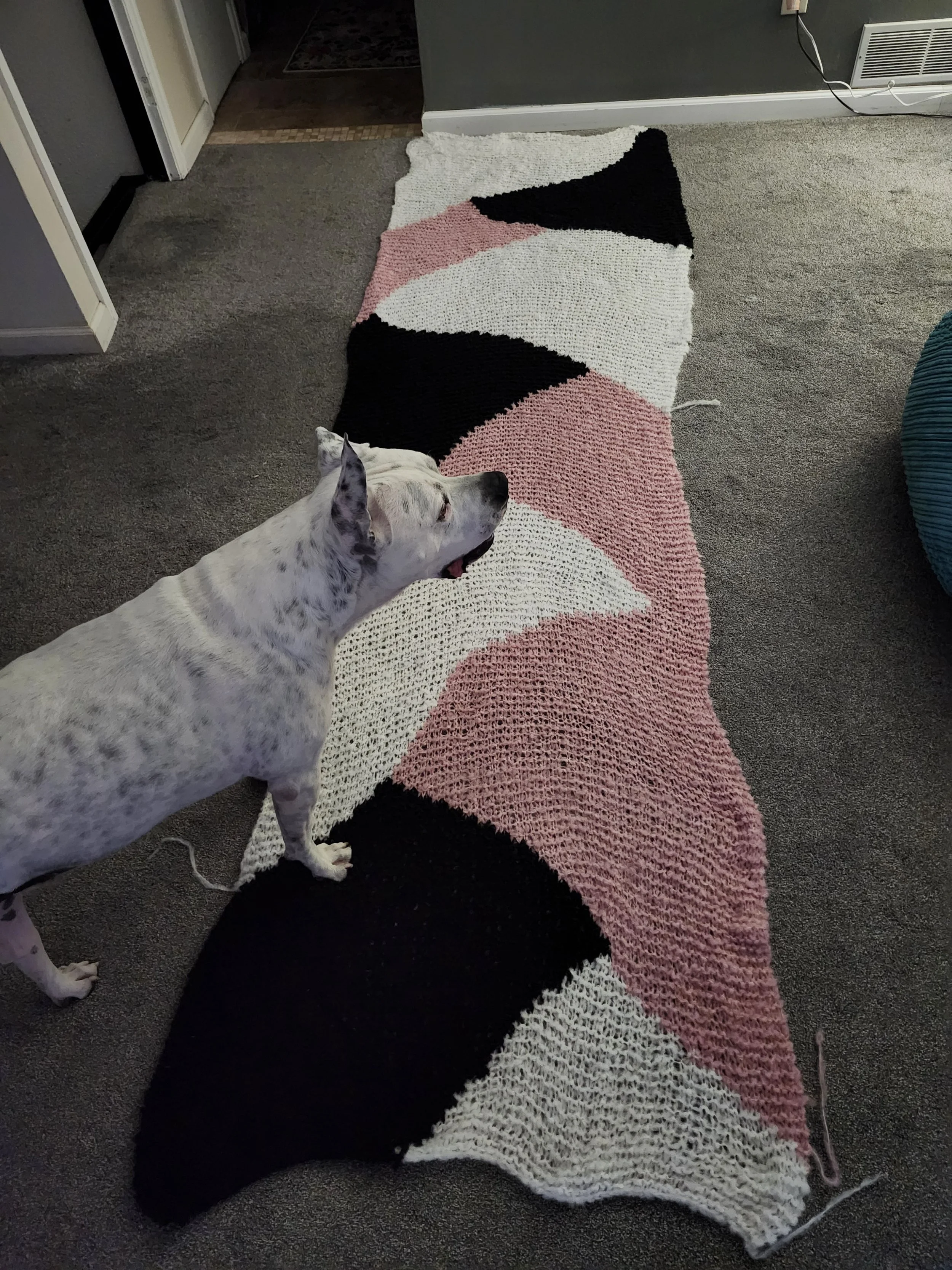 20260415_194446 - Stephanie Van Buskirk.jpg