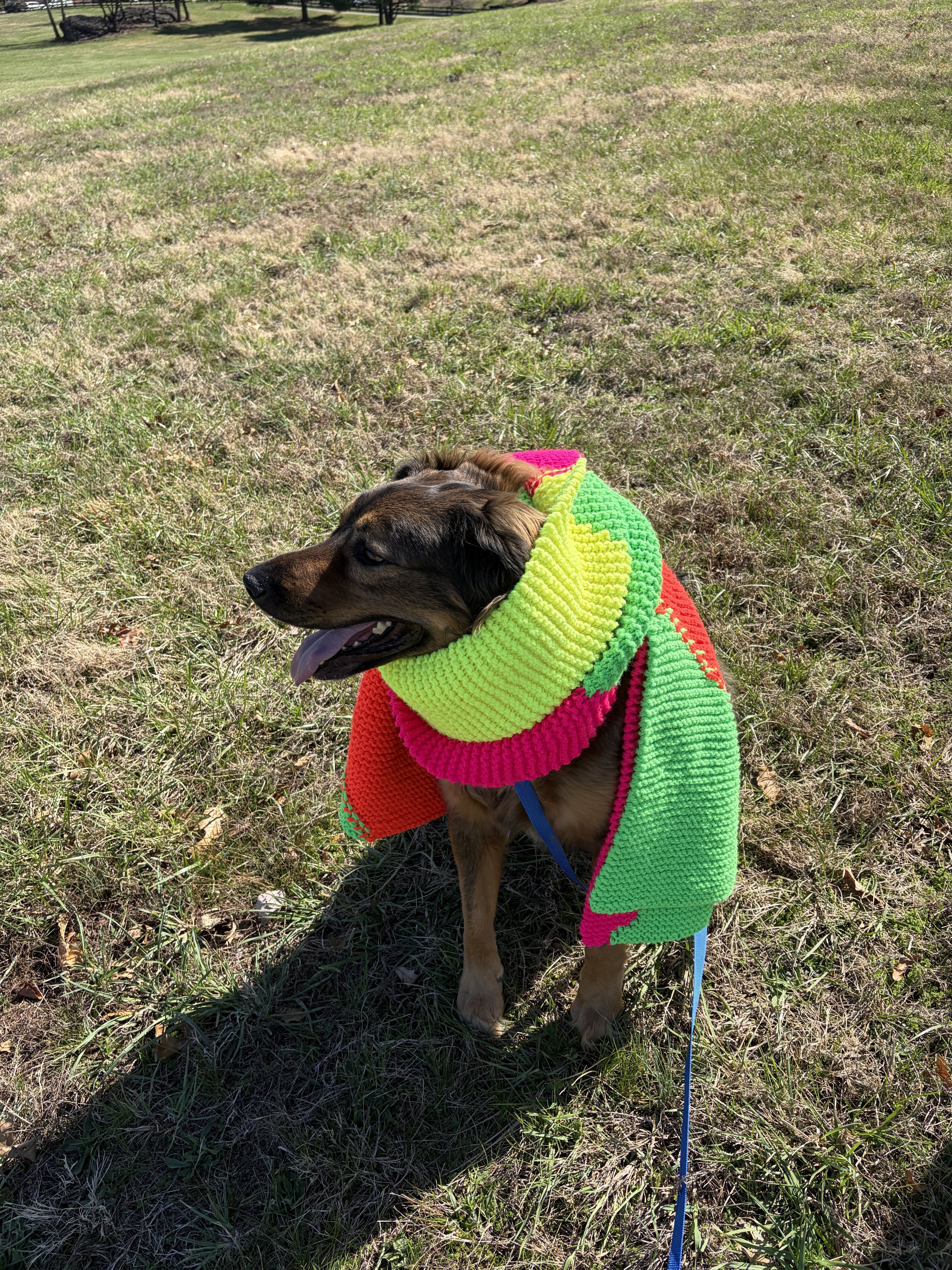 IMG_1051 - Jenna Wolf.jpeg