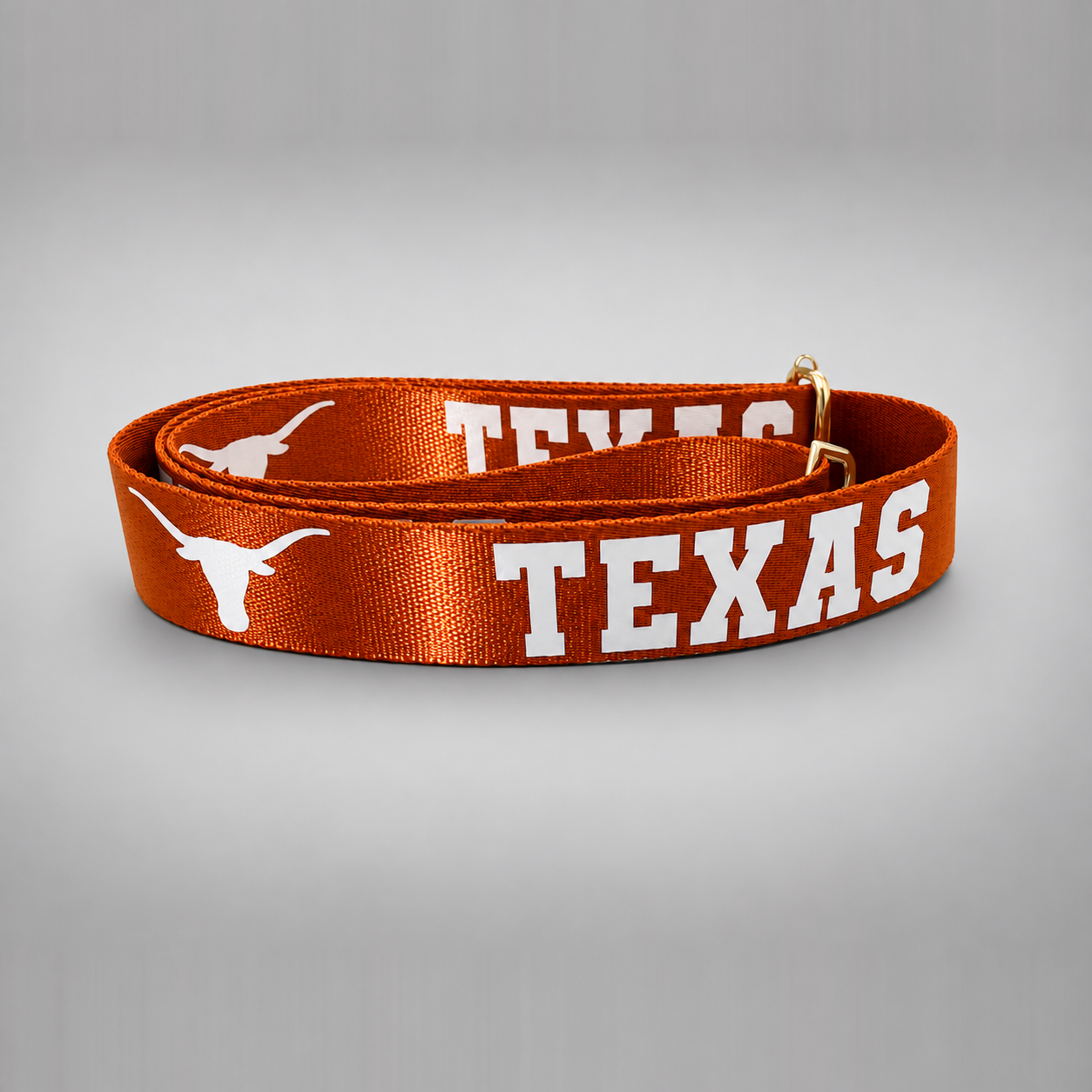 Texas Strap Coil Shine.png