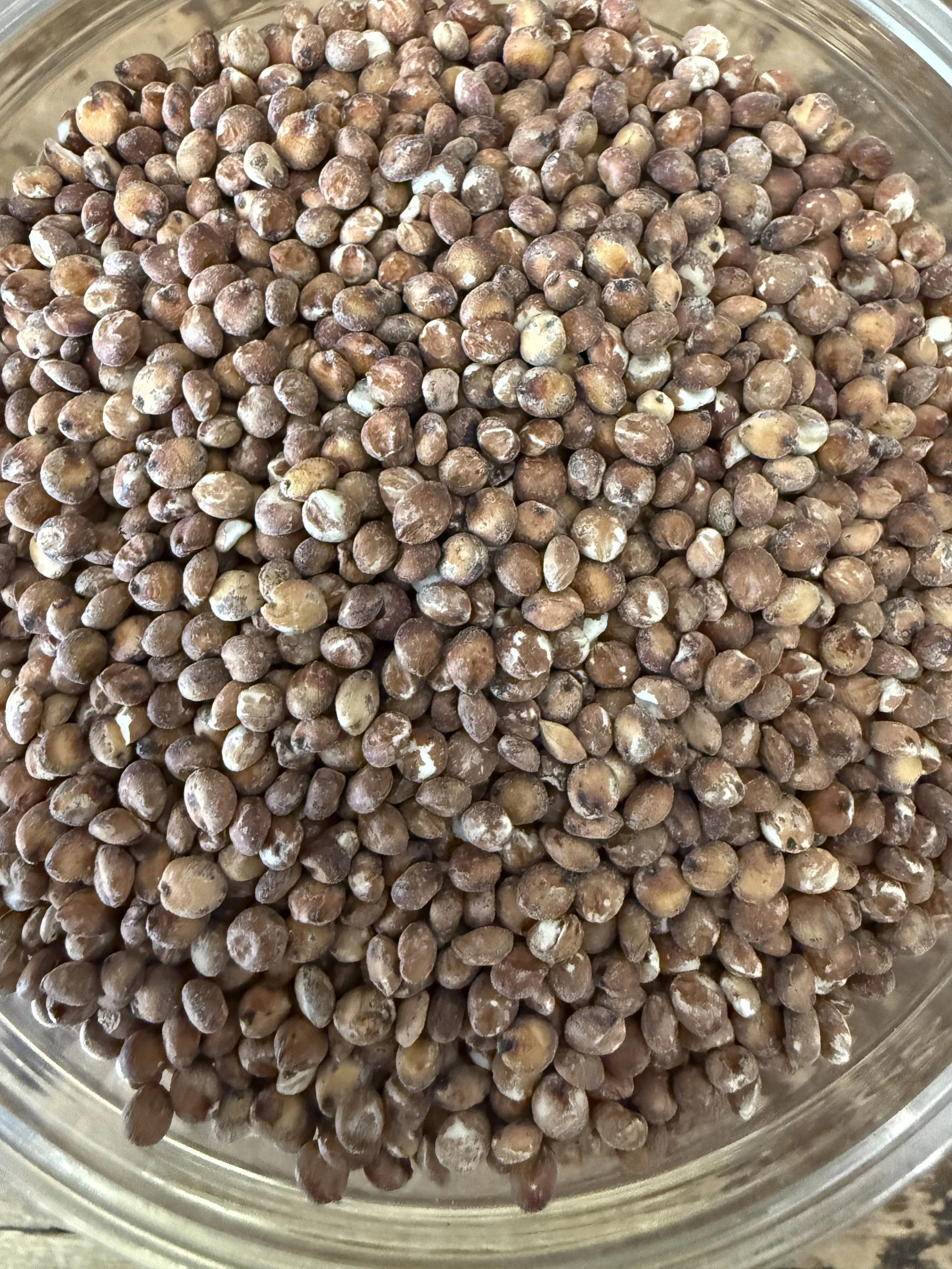 Sorghum 14 oz