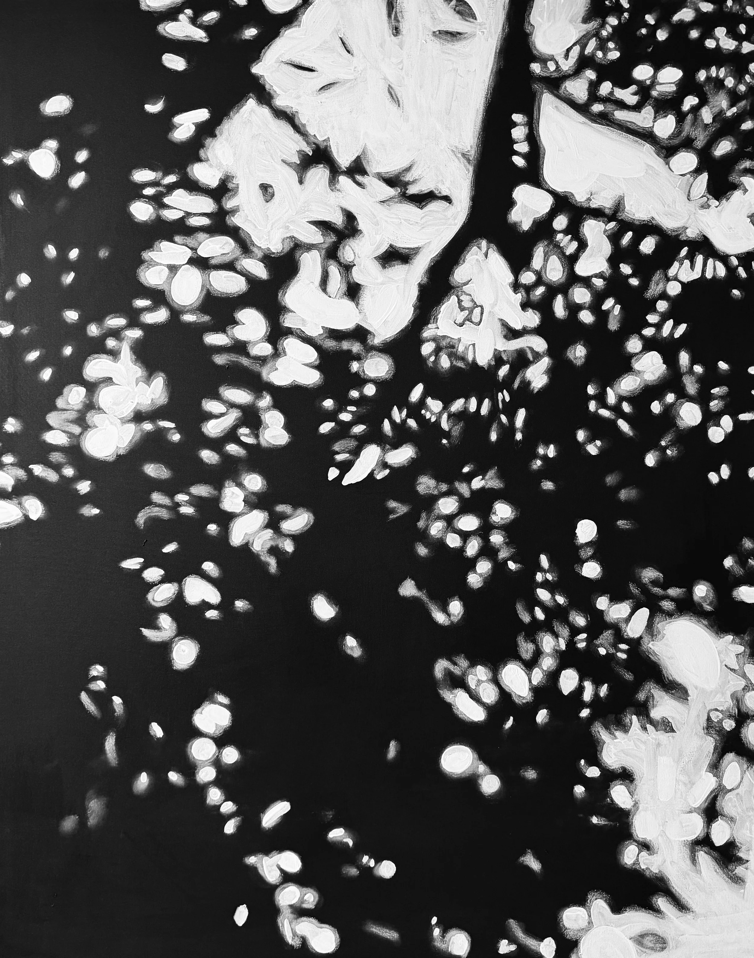 language of shadows - 2026