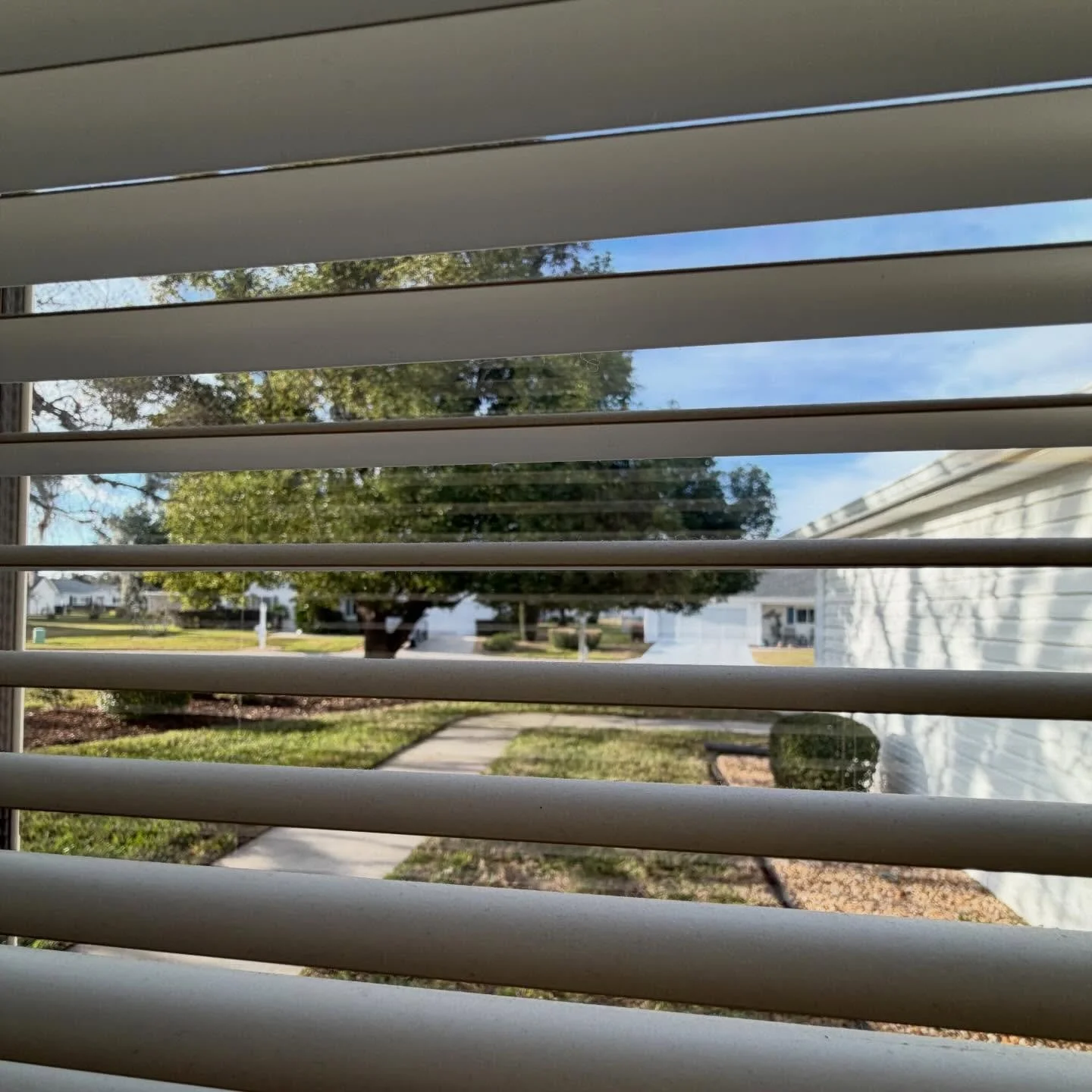 Good morning Florida!