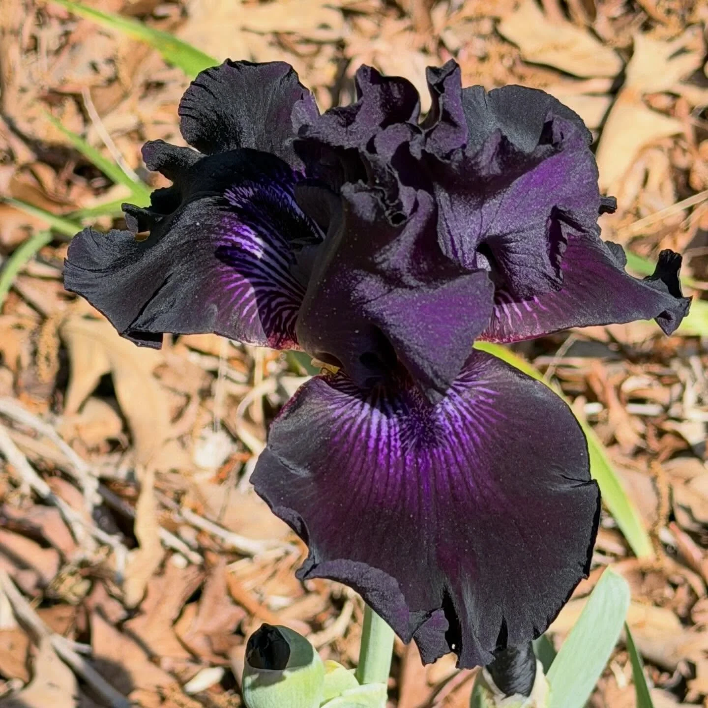 💜💜💜💜💜💜