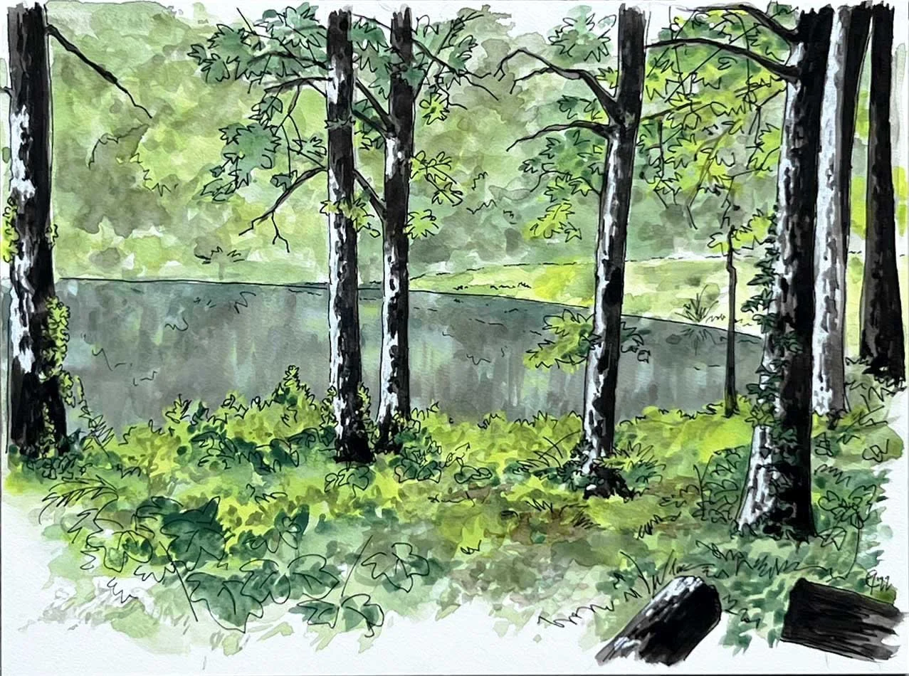 Phase One - 12x16 -   Green Pastures.JPG
