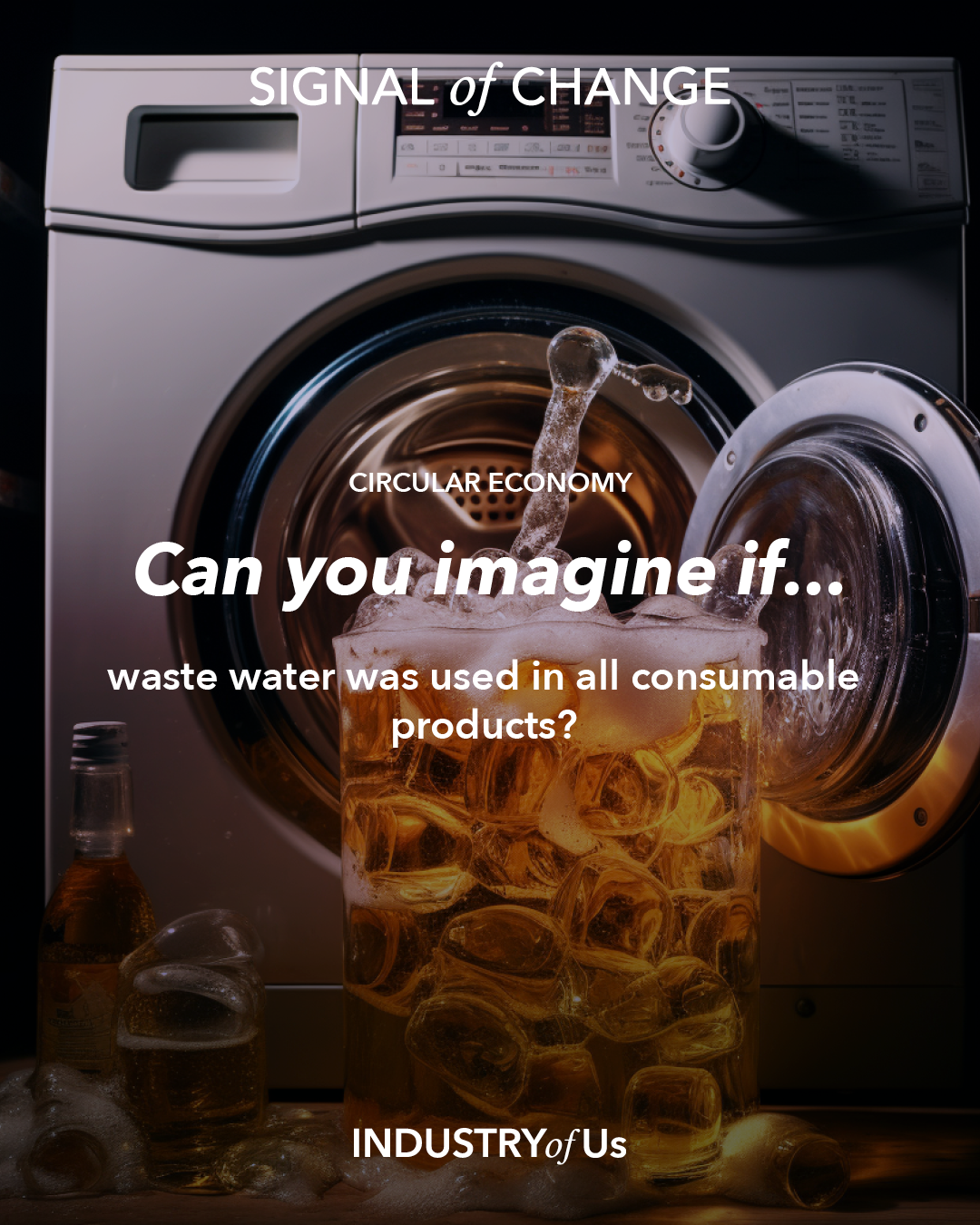 Laundry Lager2.png