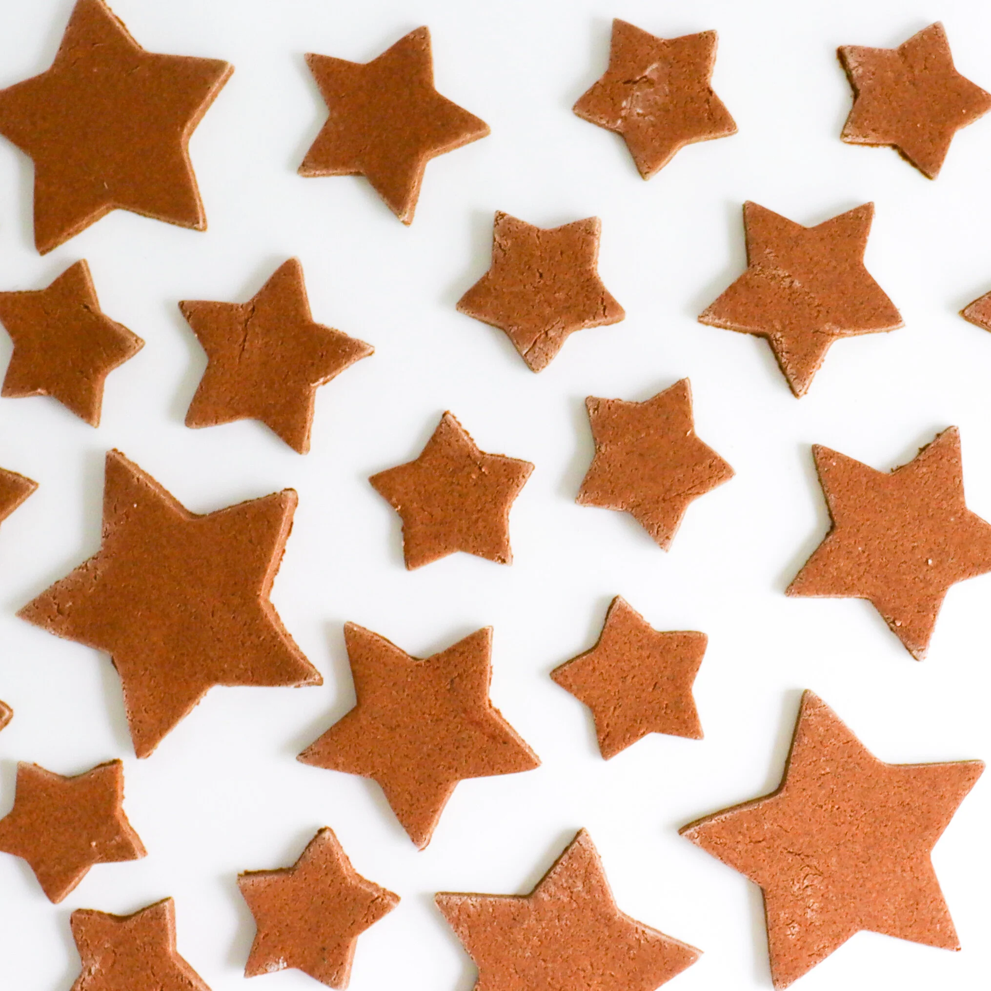 SHA 009 - Cinnamon Salt Dough Havdalah Stars (07).jpg