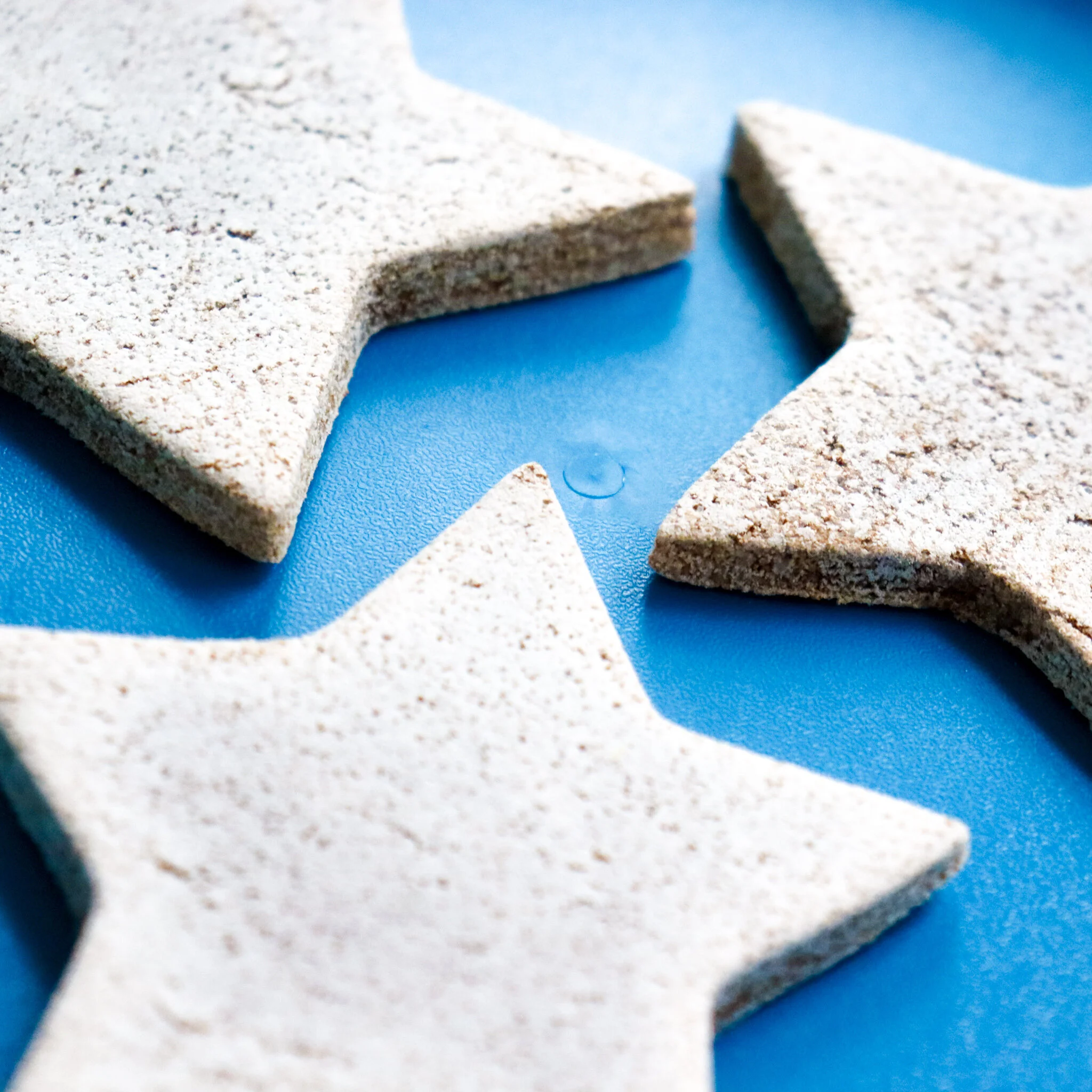 SHA 009 - Cinnamon Salt Dough Havdalah Stars (09).jpg