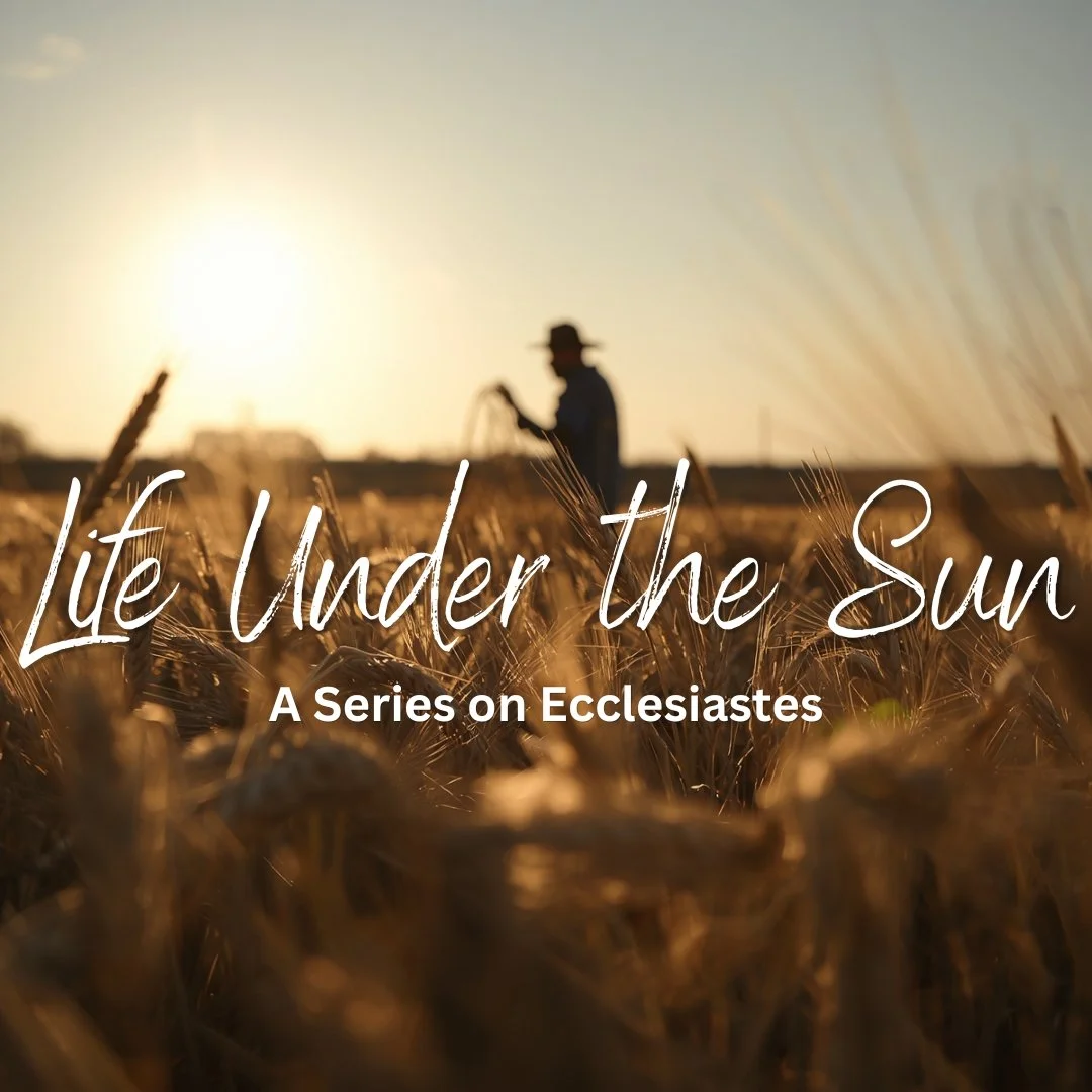 Life Under the Sun (1080 x 1080 px).jpg