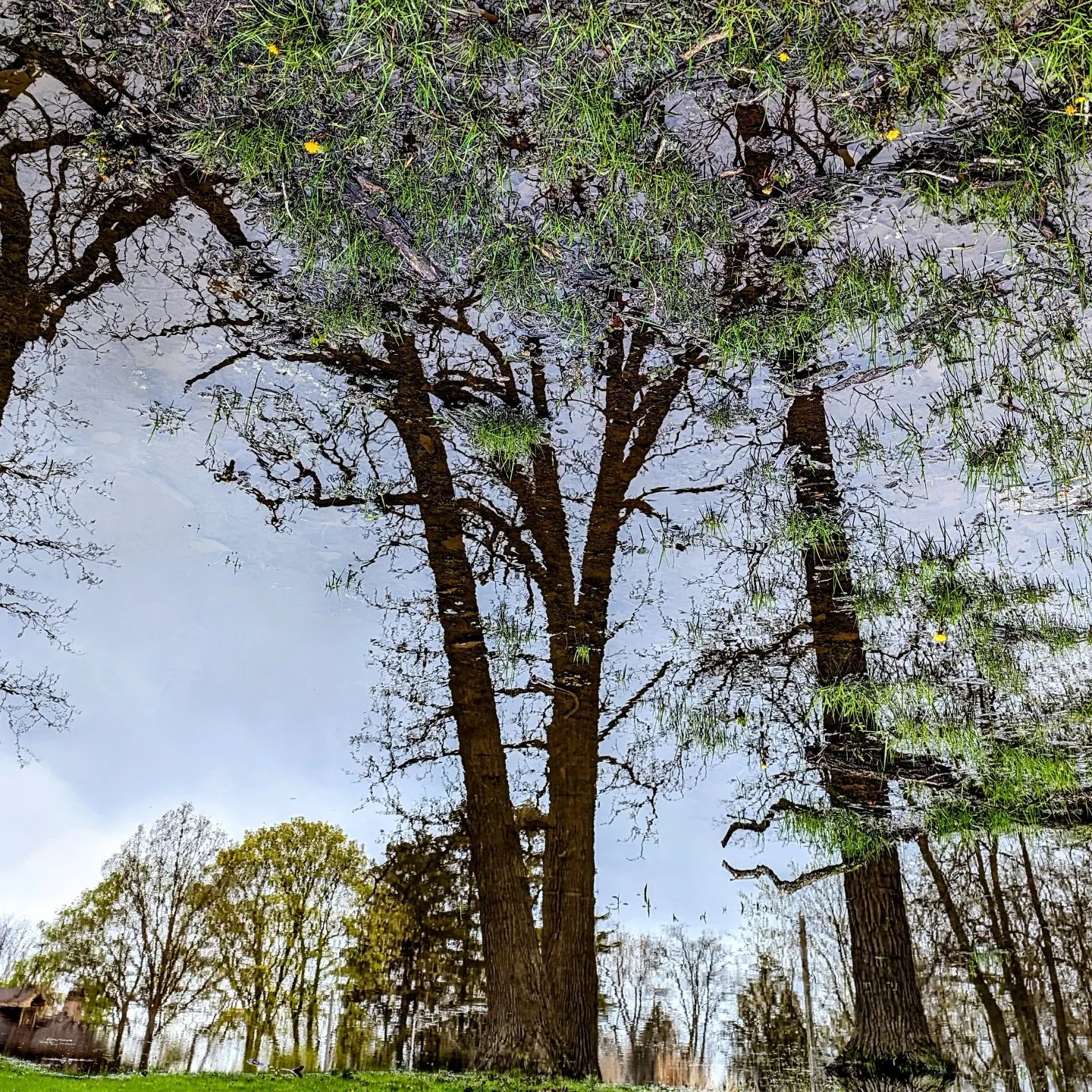 rajczykpablo_17238_6053562_004_Rajczyk.jpg