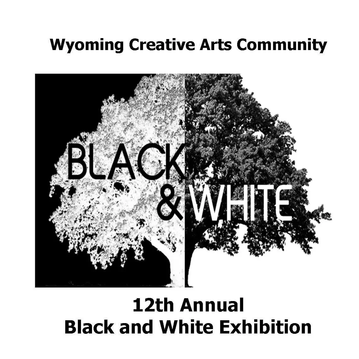 Wyoming Creative Community Annual Black and White Exhibition