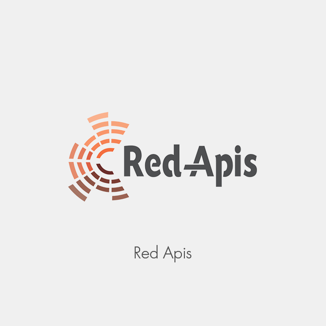 Vi-Sor Web en Portal de Red Apis