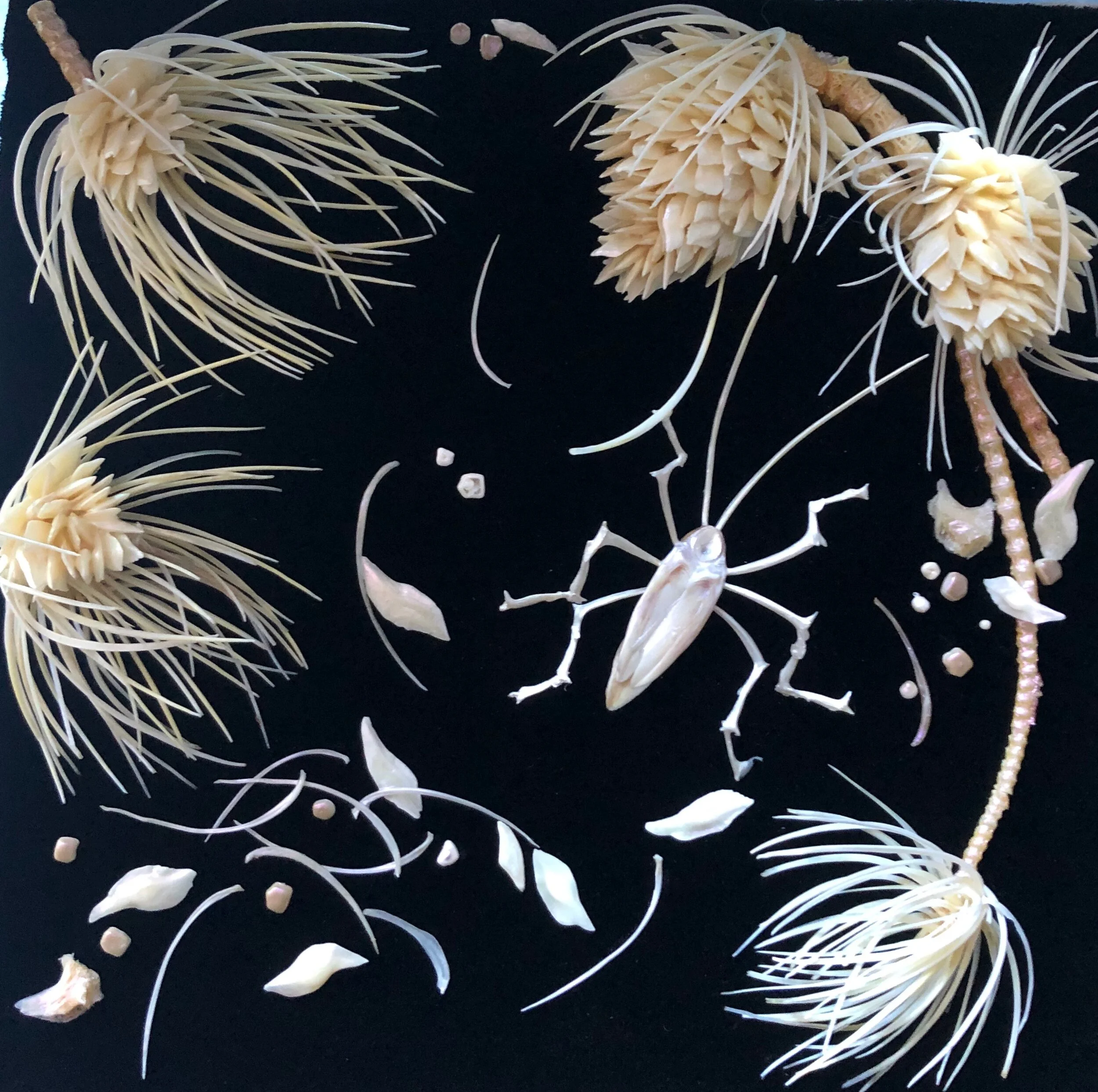 BURNTPINE LONGHORN BEETLE.jpeg