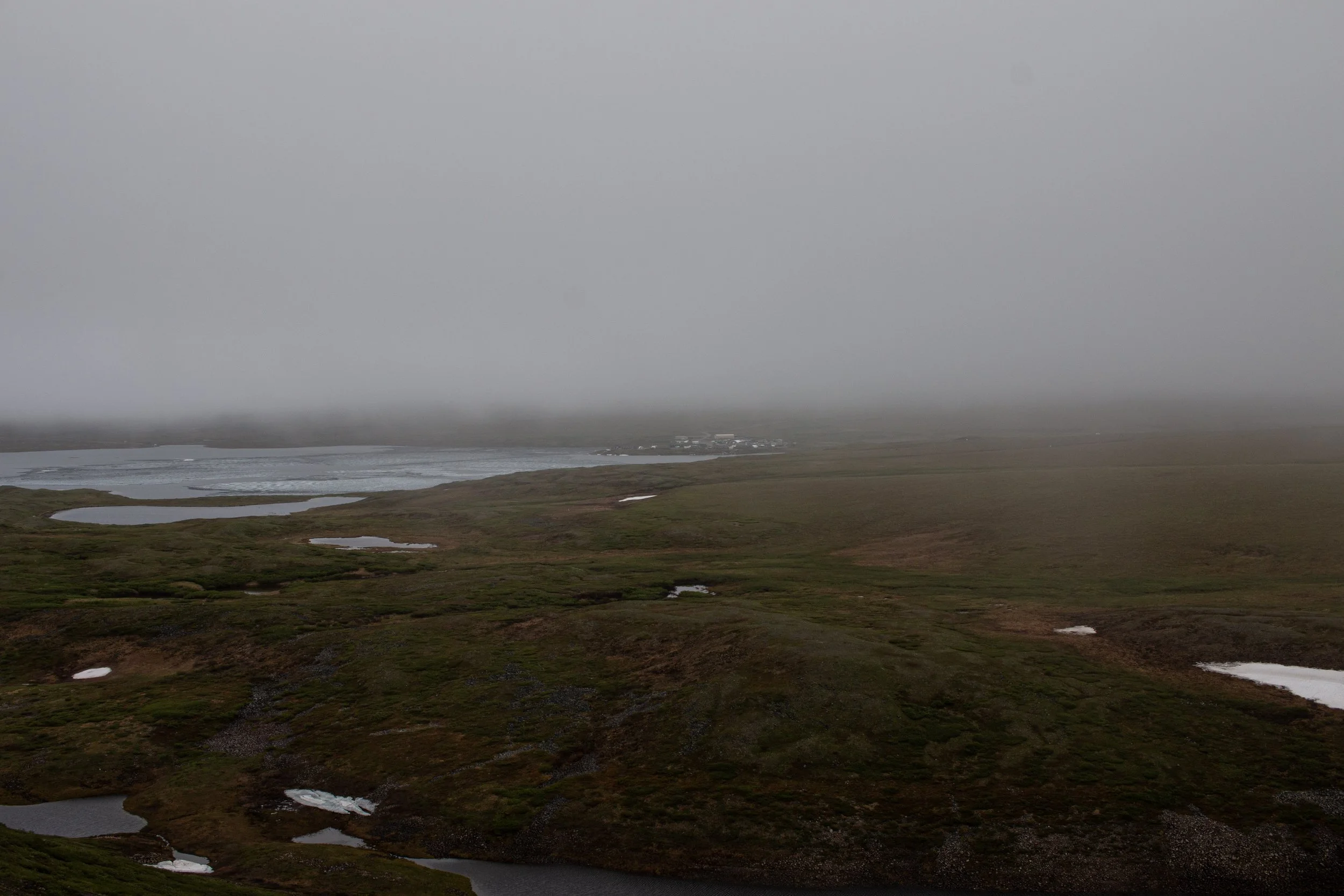 Toolik_GD2026-96.jpg