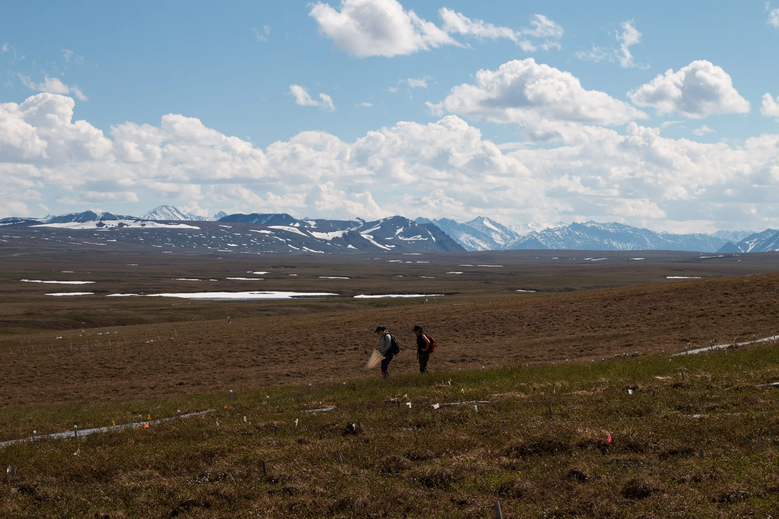 Toolik_GD2026-40.jpg