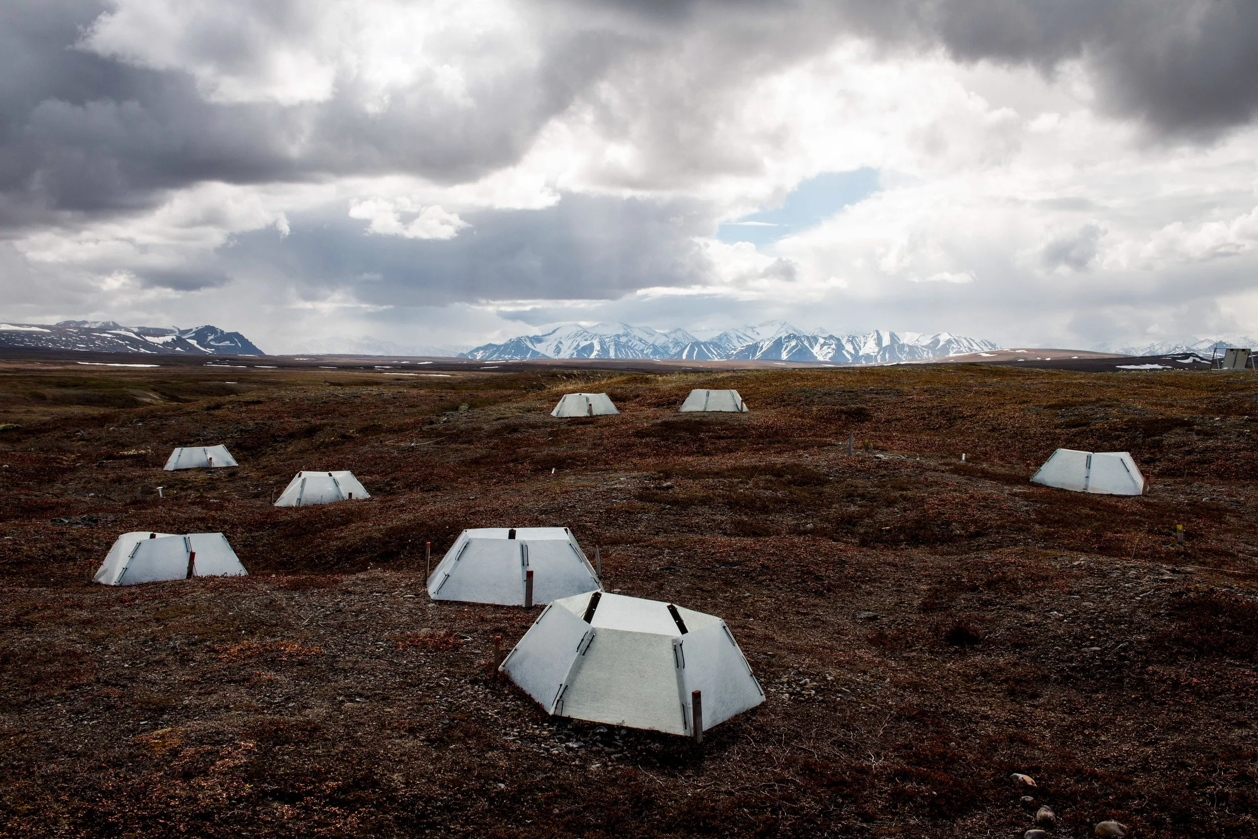 Toolik_GD2026-25.jpg