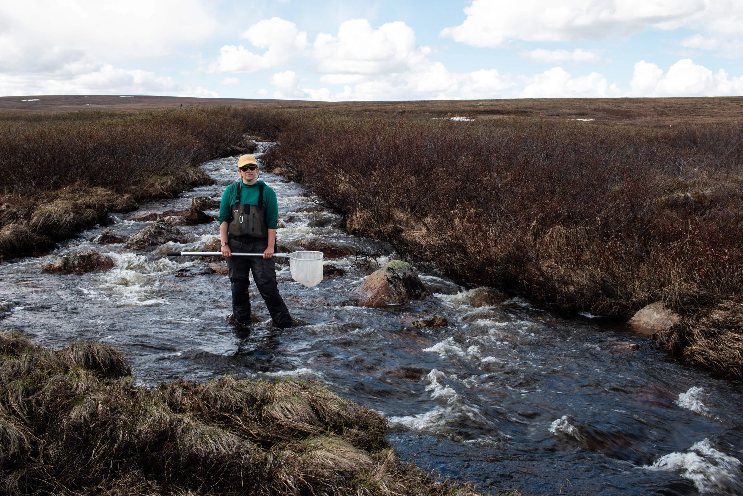Toolik_GD2026-31.jpg