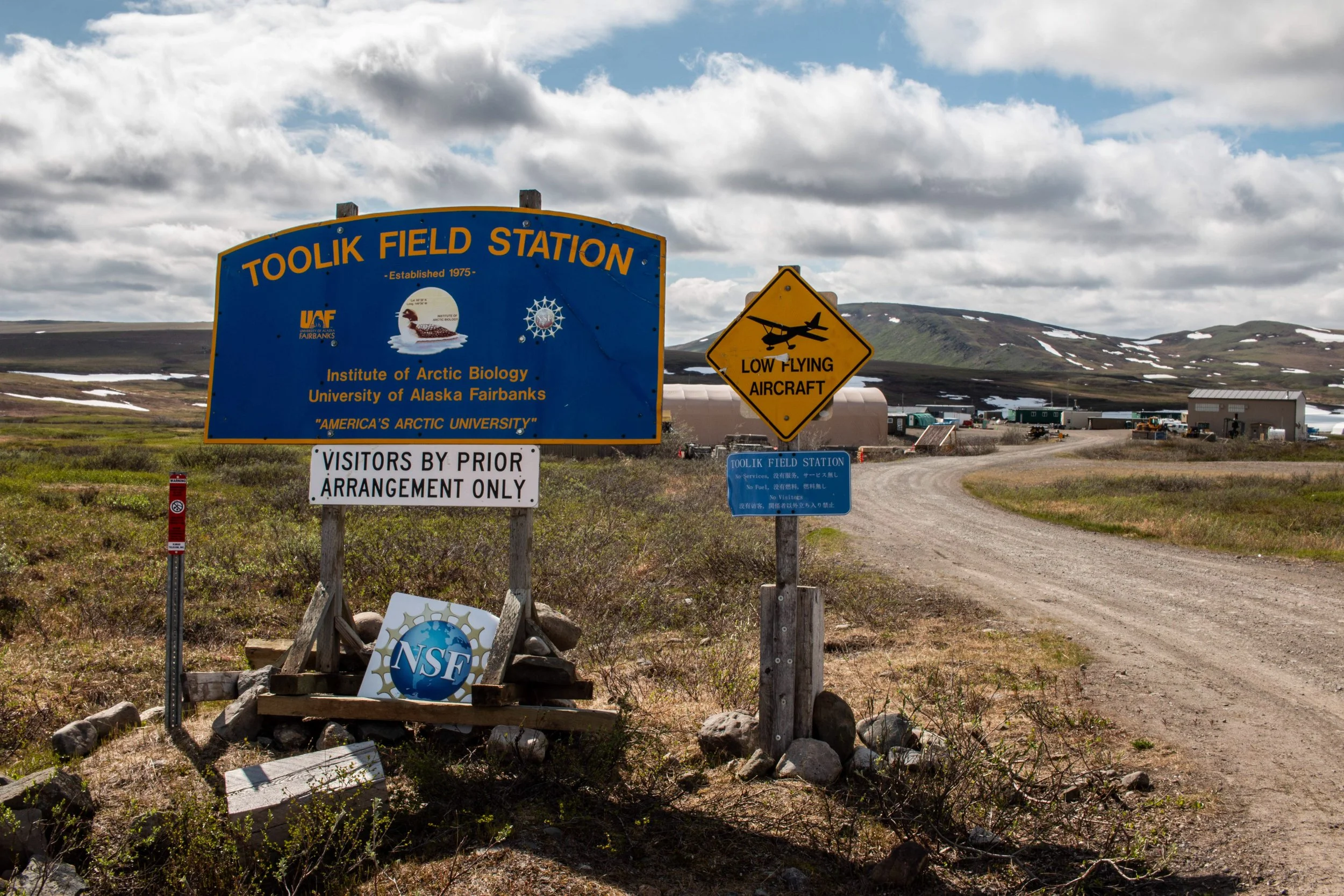 Toolik_GD2026-49.jpg