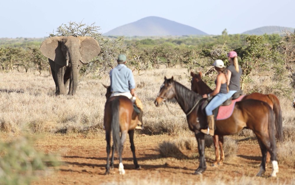 Lewa Wilderness 2017-106.1.jpg