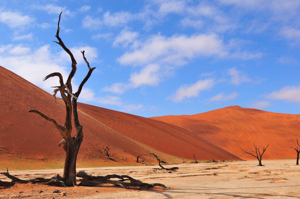 SVL_Deadvlei copy.jpg