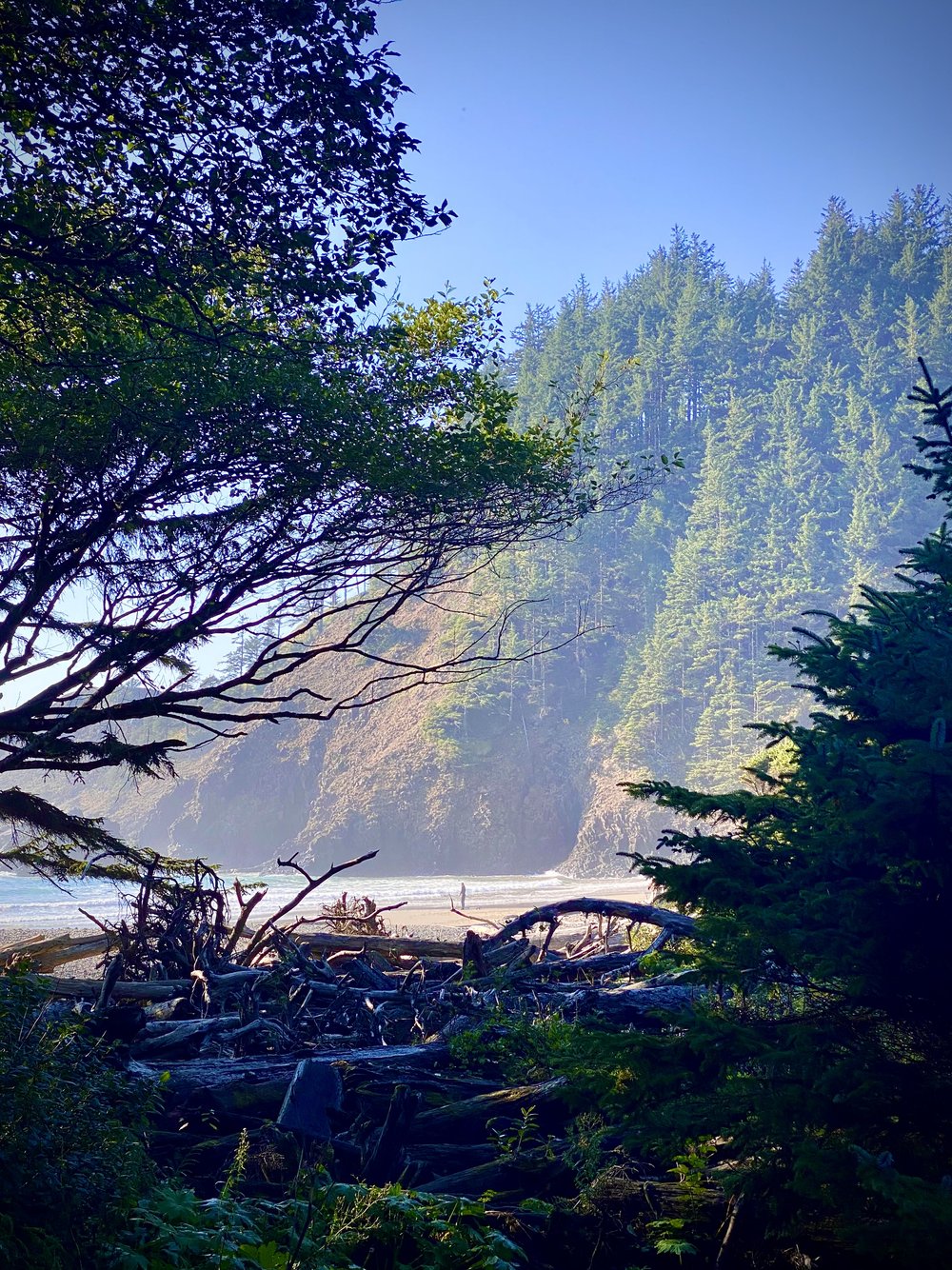 Trail to Indian Beach, Oregon