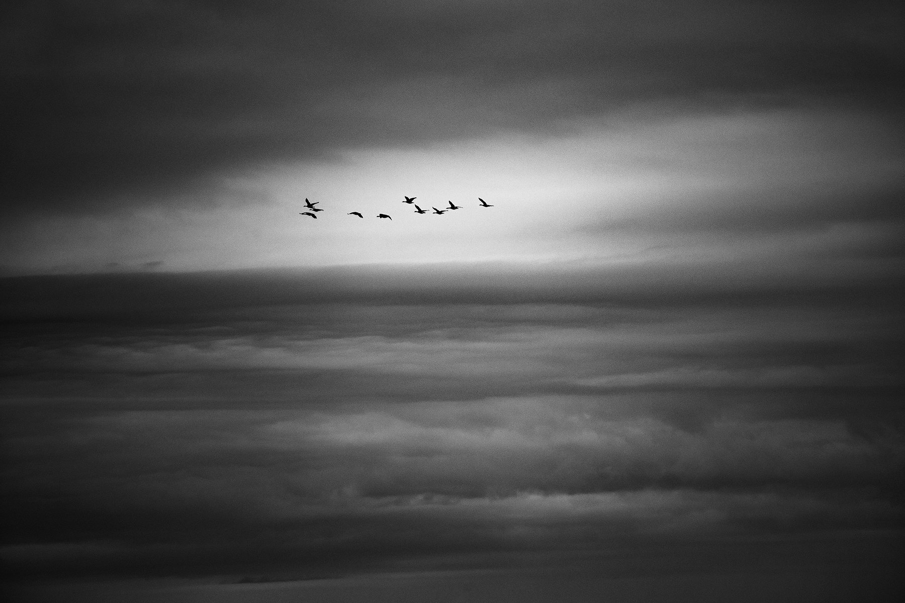 In Flight