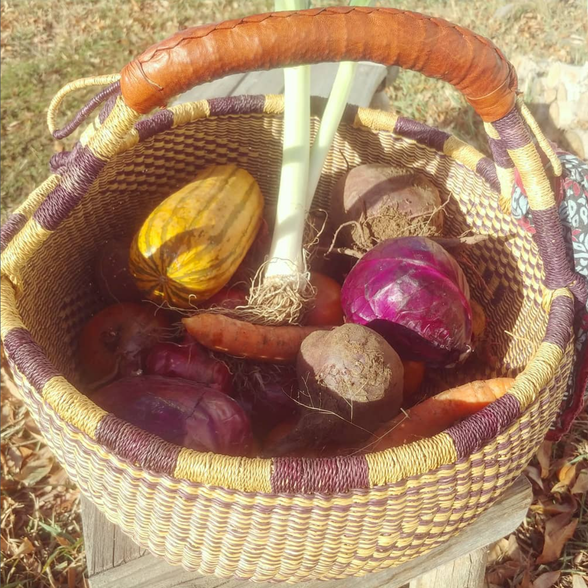 Monroe Organic Farms photo 15