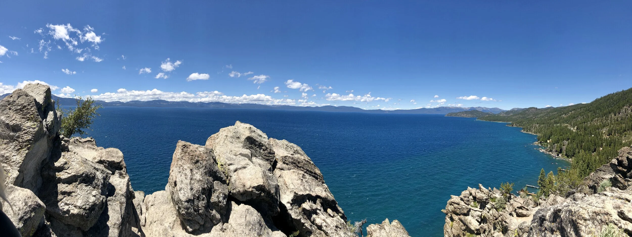Tahoe S Premiere Cannabis Dispensary Tahoe Green