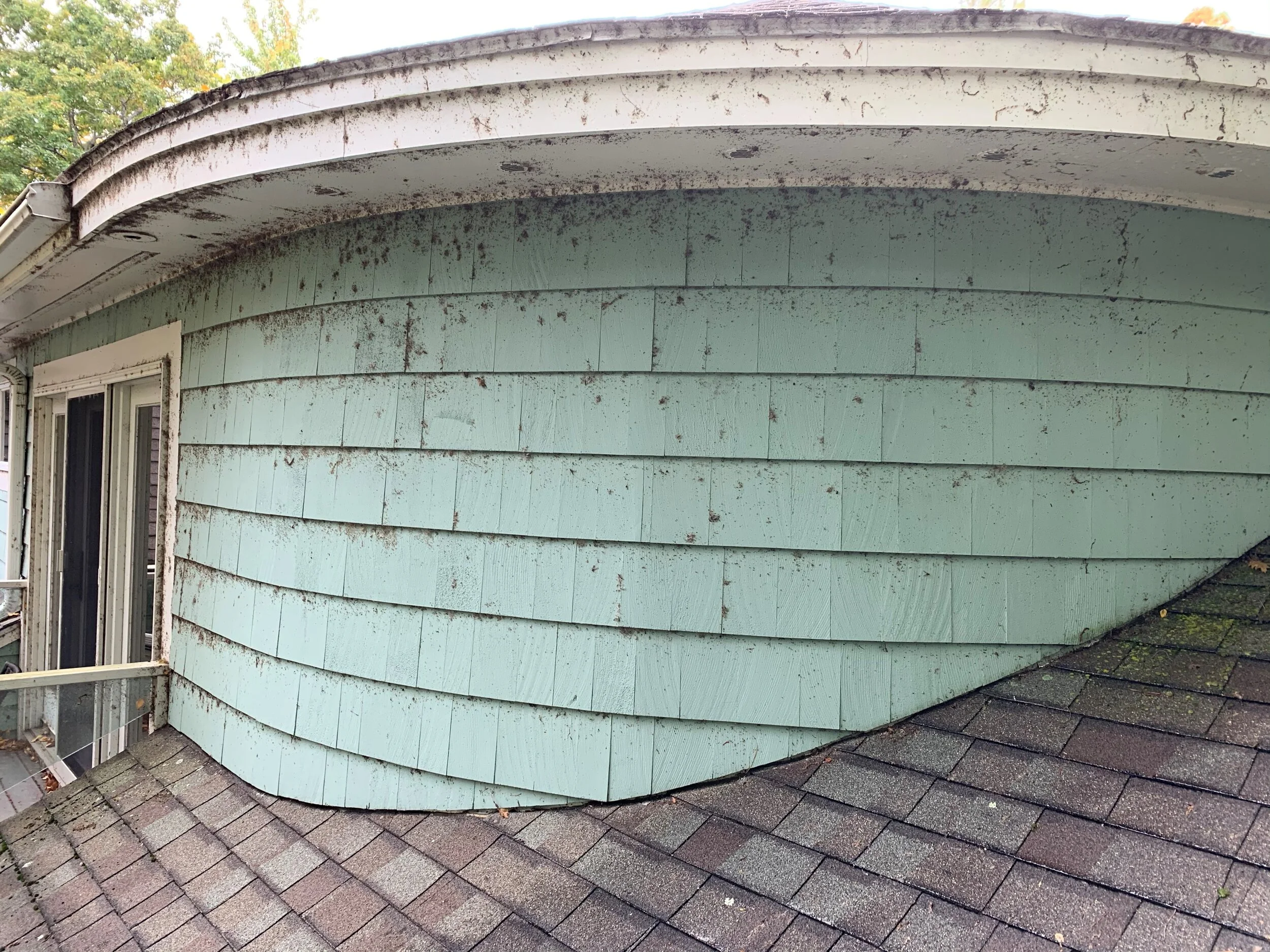OldGreenRoof.jpg