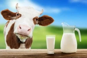 Dairy Avoidance