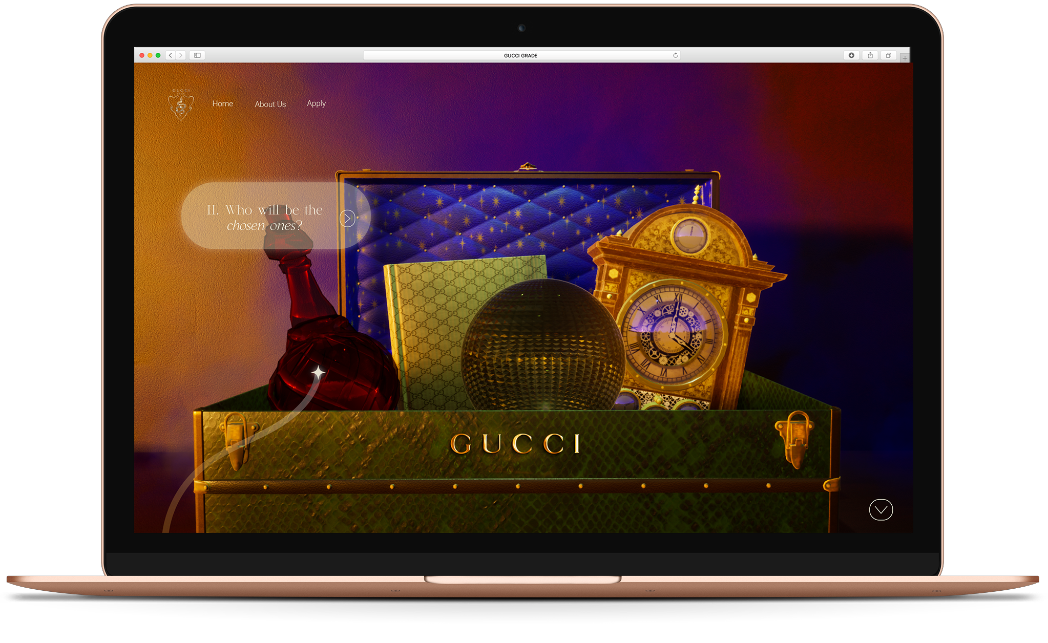 andra-cobuz-gucci-grade-academy-website-concept-03.png