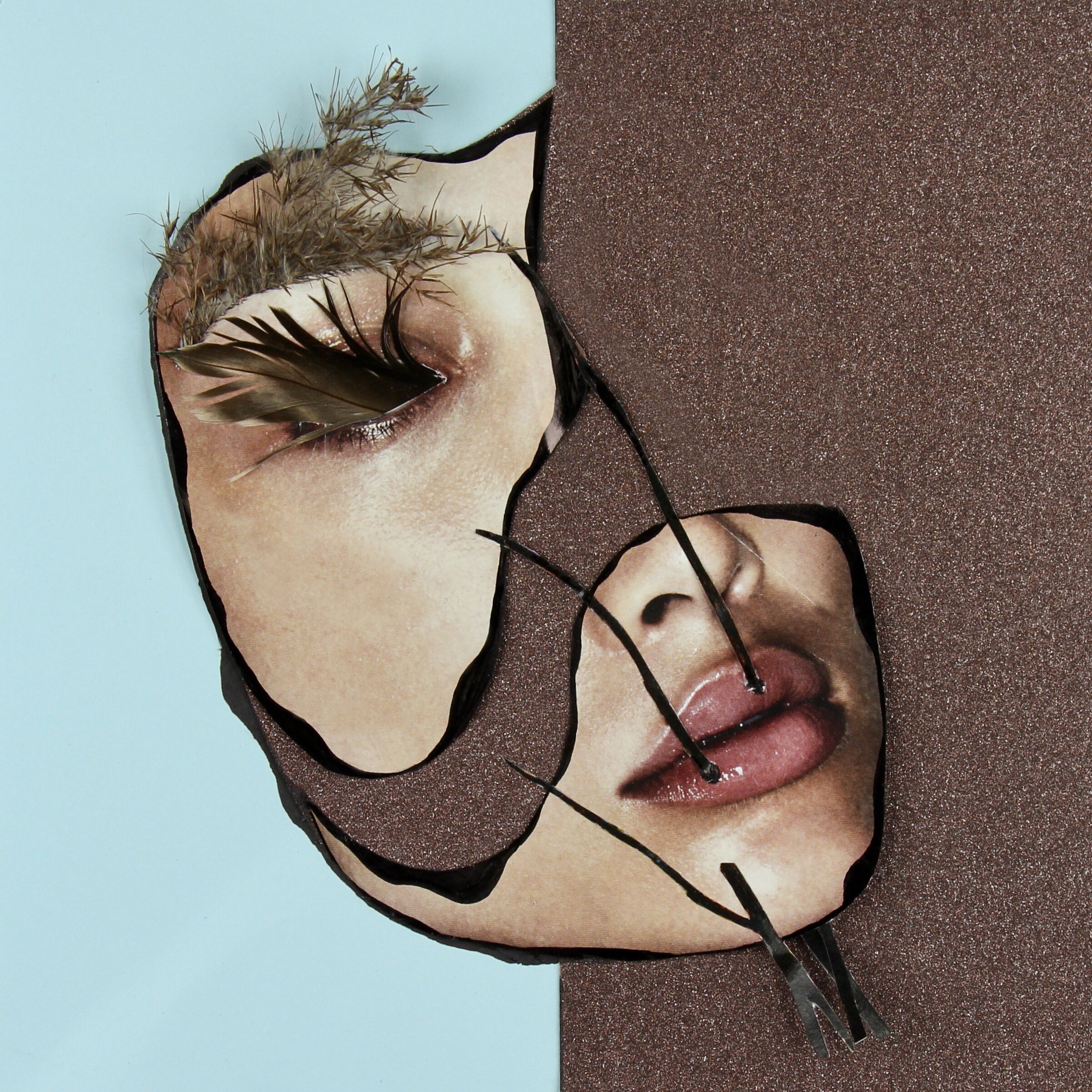 collage-nature-face-andra-cobuz-1.jpeg