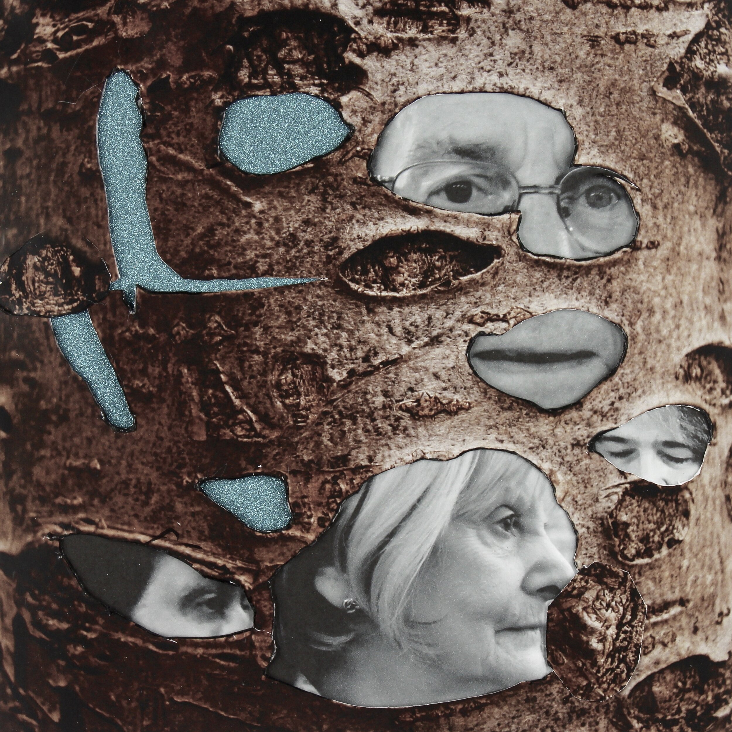 collage-tree-faces-andra-cobuz-1.jpeg