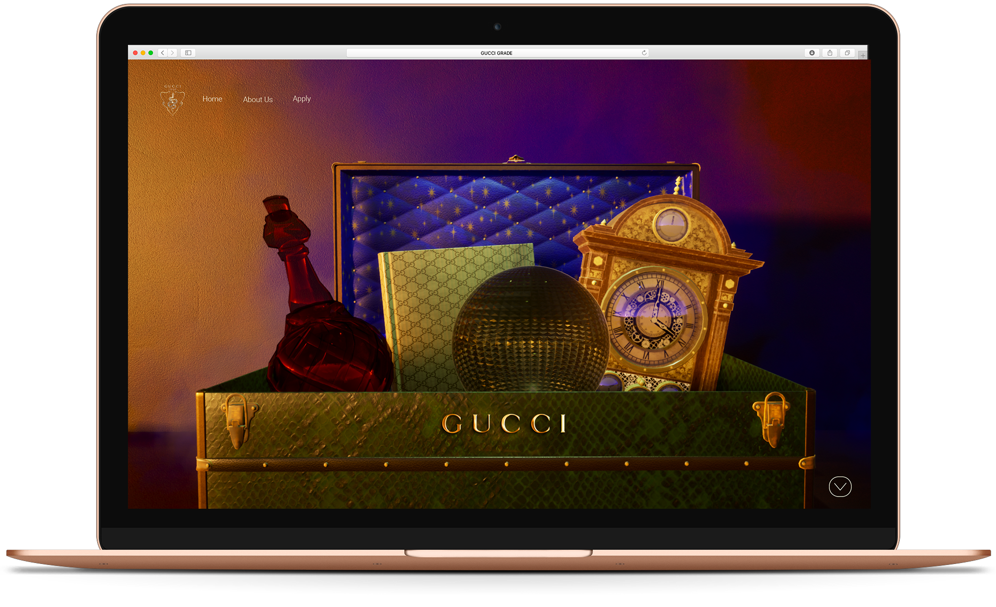 andra-cobuz-gucci-grade-academy-website-concept-02.png