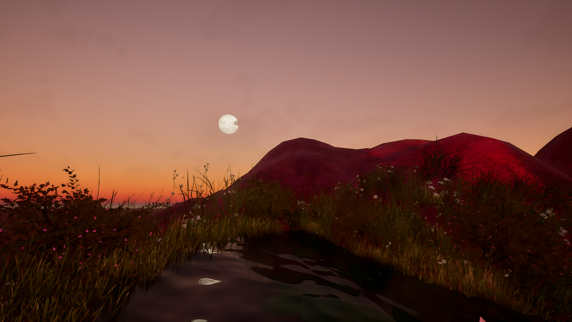 andra-cobuz-orphium-immersive experience-3d-scene-environment-01.png