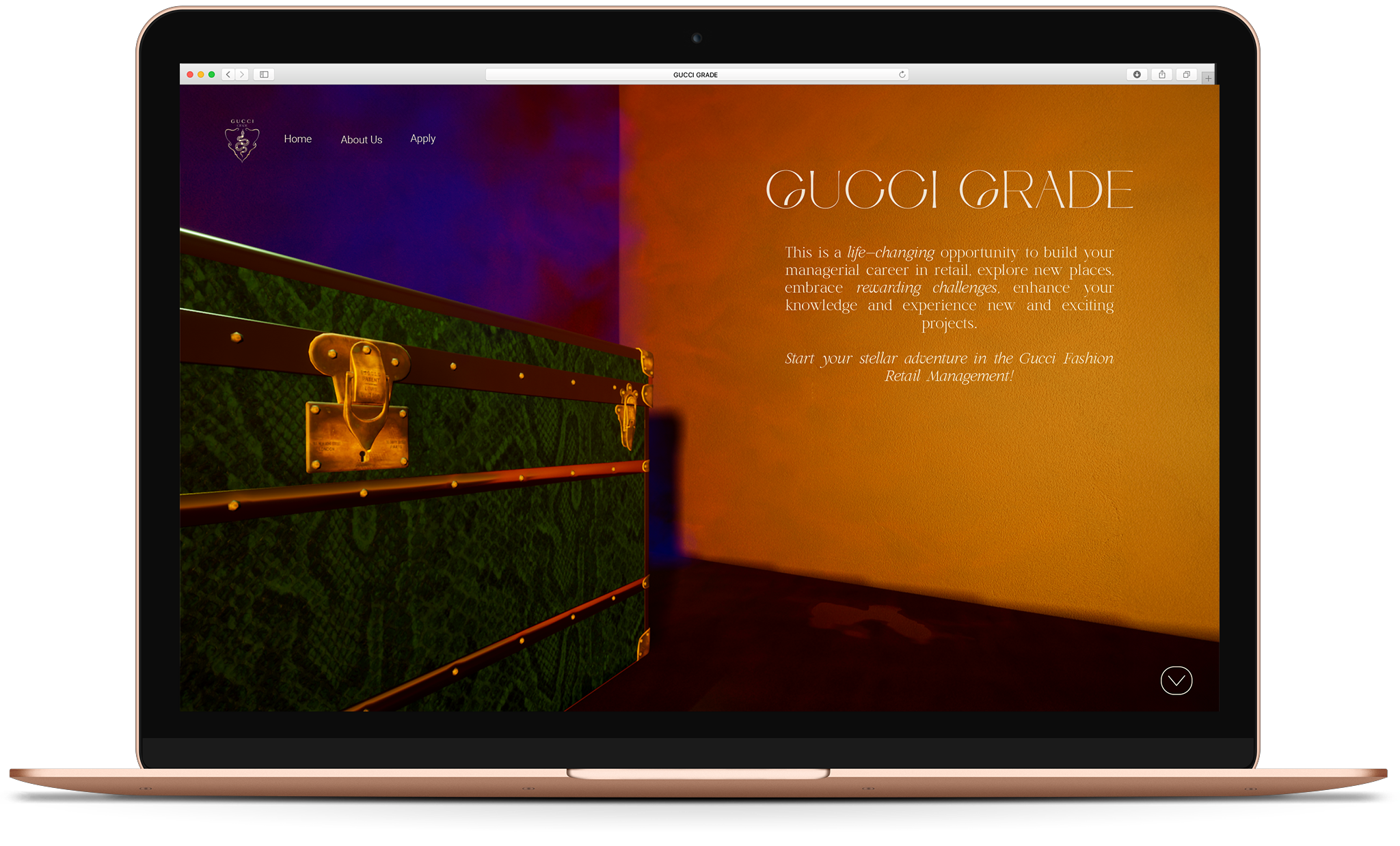 andra-cobuz-gucci-grade-academy-website-concept-01.png
