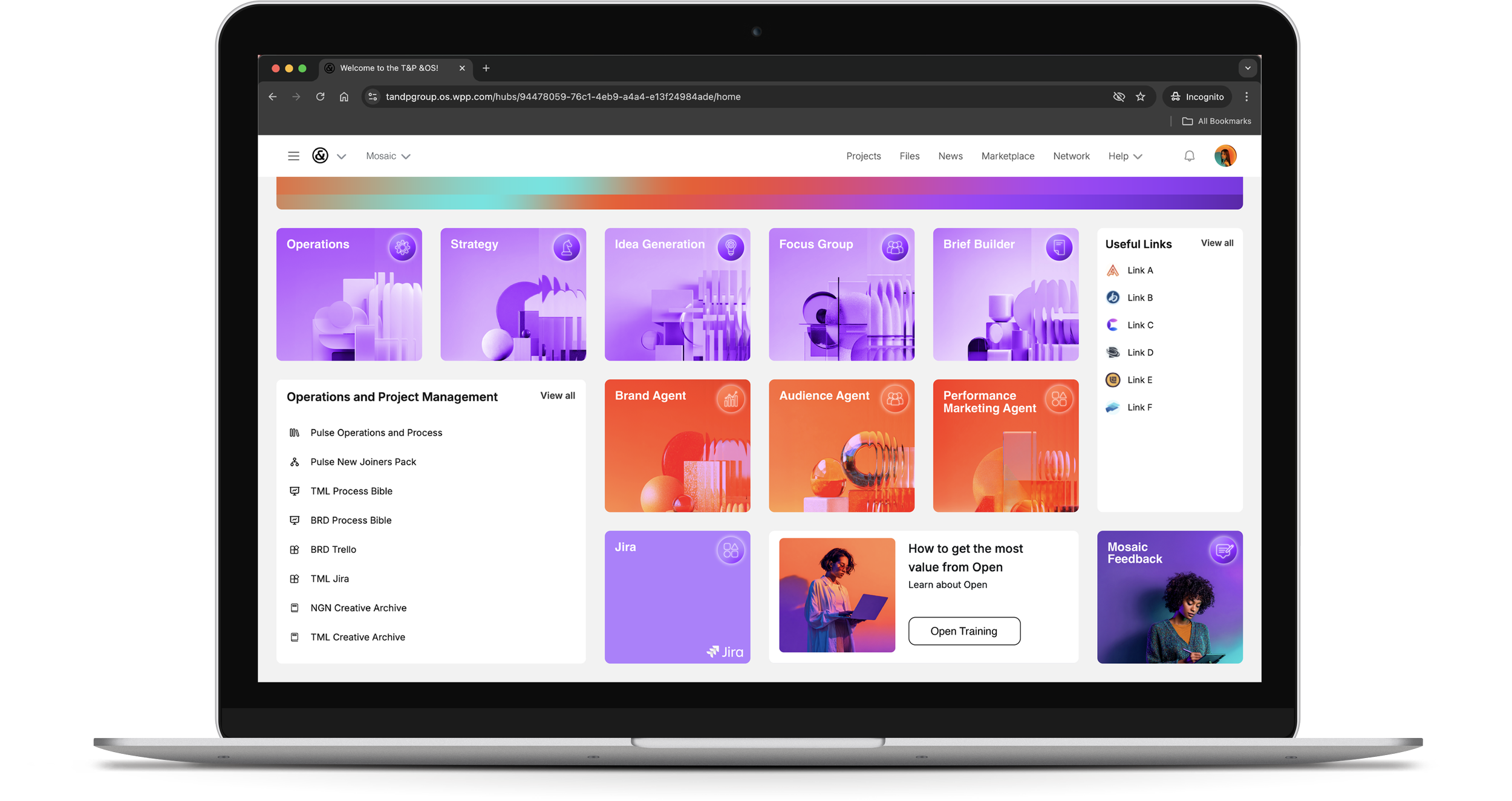 andra-cobuz-mosaic-hub-website-powered-by-wpp-open-03.png