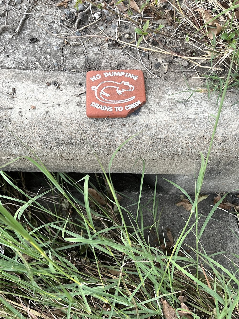 storm drain with no dumping drains to creek tile.JPG