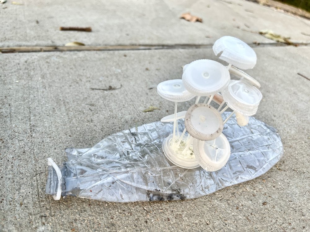 charityridpath_bottlecap mushroom in plastic bottle.JPG