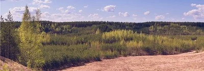 repair is a practice