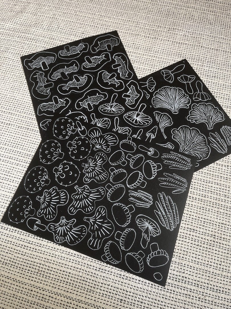 the folders with the hand drawn mushroom illustrations