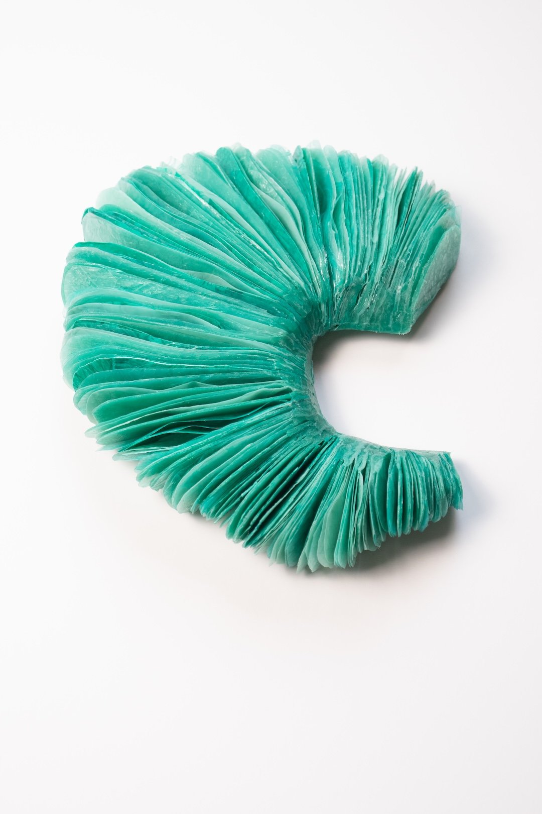 mushroom gill earcuff ridpath.jpg